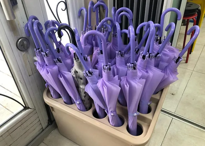 앤 서울 호스텔 호스텔